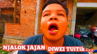 NJALOK JAJAN TITIK...!!! Diwei TITIK POL