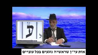 הרב שלמה מועלם שליט"א - אות עי"ן שראשיה נוגעים בכל עוביים  0156