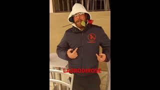 LADRODIROSE