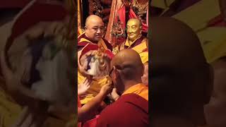 Kyabje Namkhai Nyingpo Rimpoche Kheno