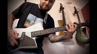 RATM - KILLING IN THE NAME - BASS COVER - LESWAR GUITARS