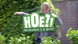 Hoe bescherm je je gewas? | HOE?! | Welkoop