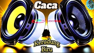 caca kerudung biru 💃party sentak 🌴 party gacor 💃 party gacor 2024 #pelurutimor @Pelurutimor