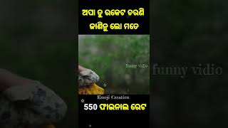 //a sunli Bhai// viral odia comedy// video status//#shortsfeed