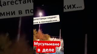 Мусульмане в деле . Кто хочет себе таких соседей?