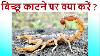 बिच्छु के डंक का ईलाज सिर्फ दो सेकेण्ड़ में दर्द खत्म || Aushadhi - औषधि ||