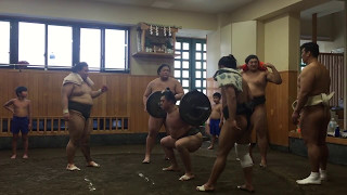 I visited sumo studio in Tokyo! Here's how they practice Prt2