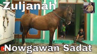 Zuljanah I Nowgawn Sadat