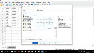 SPSS Statistics - Vídeo 3