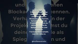 Nimm die Projektion von deiner Dualseele ❣️ #dualseelen #twinflames #liebe