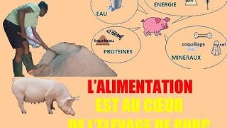 formules alimentaire des porcs