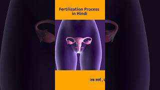 Fertilization process #shorts