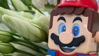 Interactive Lego Mario Adventures Live Stream!