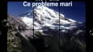 Ilie Puha-Ce probleme mari