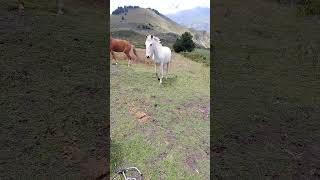 ANDES ECUADOR🇪🇨 #music #dance #remix #funny #travel #nubes #mountains #paisajes #god #shorts #fyp