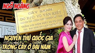 Ngỡ Ngàng giàn cây Kiểng được Nguyên Thủ Quốc Gia trồng ở Đại Nam