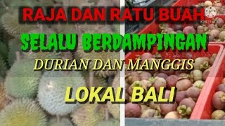 MULAI PANEN LAGI... RAJA DAN RATU BUAH