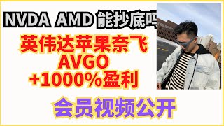 NVDA AMD AVGO +1000% 盈利，会员视频公开