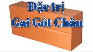 Bài thuốc trị Gai gót chân. PHAN HẢI Vlog.