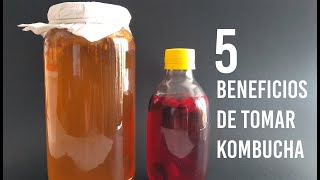 Beneficios de la Kombucha