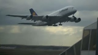 Plane impressions - Planespotting at FRA [Frankfurt Airport]