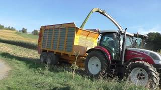 XXL HIRSE häckseln Claas Jaguar 970 mit Orbis 600 kommt an sein Limit Claas Maschinen im Einsatz Hir