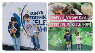 Konya Tropical Butterfly Garden  Turkey   #life are #travelphoto  #travelphotography