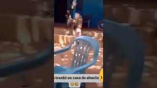 Todo trankilo en casa de abuela😂😂 @newviralshorts1 #comedy #humor #memes #shorts  #shortsviral