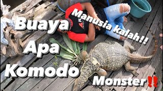 Amang Rimba borneo ketemu Komodo Kalimantan MONSTER‼️Ukuran nya tidak wajar⚠️