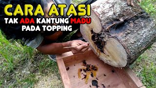 Madu Tidak Ada Di Topping? Lakukan Hal Ini!