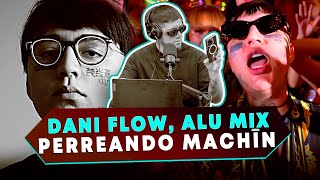 DJ LOW REACCIONA A ❌ PERREANDO MACHÍN. Dani Flow, Alu Mix QUE TE PARECE ESTO