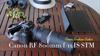 Canon RF 800mm f/11 IS STM telefoto objektifi inceledim