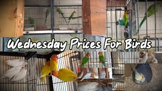 Visit Los Road Birds Market Lahore Birds Latest Wednesday Prices Update 16-March-2022