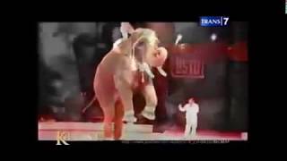 Khazanah - Gajah dan Sejarah Perang Manusia - Khazanah Islam Trans7 Terbaru 2014