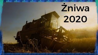 ☆Żniwa 2020 w zachodzie słońca☆Bizon w akcji☆pszenżyto pod kose☆