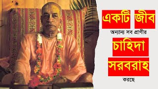 295. একটি জীব অন্যান্য সব প্রাণীর চাহিদা সরবরাহ করছে || Caitanya Sandesh