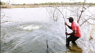 6KGs BiG Rohu Fish Catching 🎣 Unbelievable Fishing! Fisherman catch With BiG Rohu Fishes to Hunting