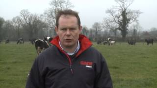 GAIN  Ruminant Feeds - Silage Quality