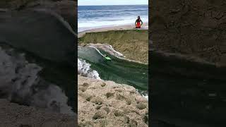 Biggest River Wave Ever Surfed?! #Shorts#viral #trending #shortsfeed #trendingshorts #viralvideo