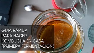 Guía Rápida Para Hacer Kombucha en Casa (Primera Fermentación)