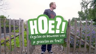 Hoe oogsten en bewaren van je groenten en fruit? | HOE?! | Welkoop