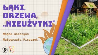 Zieleń (i nie tylko), czyli czego potrzeba nam w miastach | SKKv3