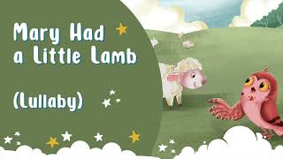 Mary Had A Little Lamb - Lullaby Version for Bedtime