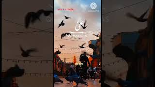 Mola ali qol 2023| yakeen ke bare me | imam ali a.s | #mola ali status #shorts #viral #trending