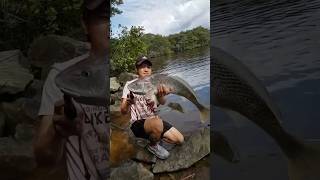 Não acreditei quando vi😱🎣 corvina gigante pega em Itanhaém com camarão🦐