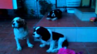 VID 20150504 200838