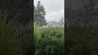 #heavyrain #windy  #storm  #shortvideoviral  #shortfeed  #shortsyoutube #shortvideo