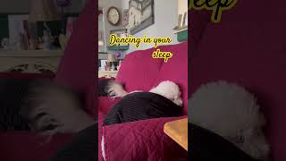 Dancing in your sleep #dog