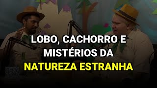 Lobo, Cachorro e Mistérios da Natureza Estranha