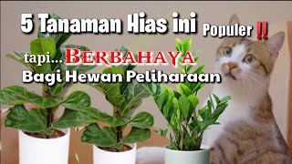 Populer‼️tapi... Tanaman Hias ini Berbahaya Untuk Hewan Peliharaan